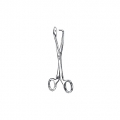 Tongue Depressor 